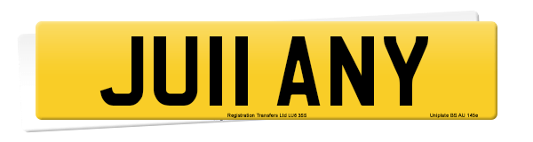 Registration number JU11 ANY